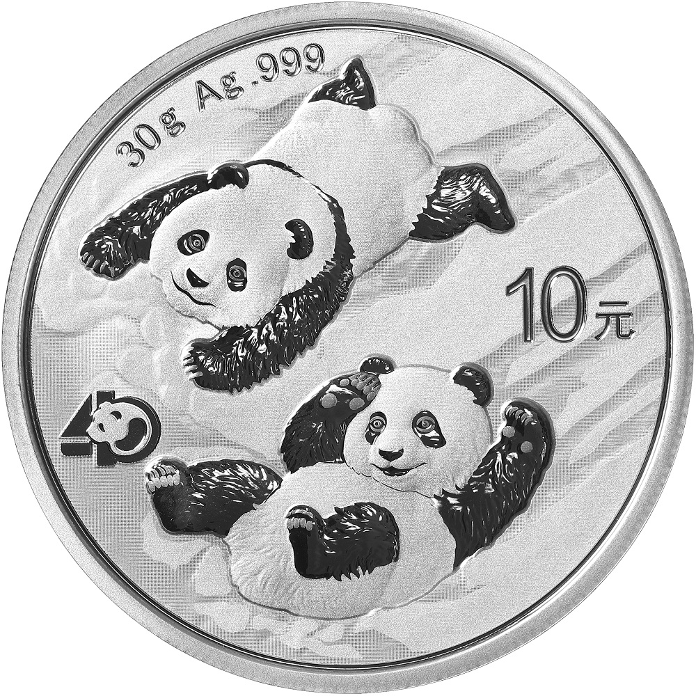 2022 Panda Silver 30g